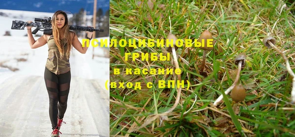 apvp Абдулино
