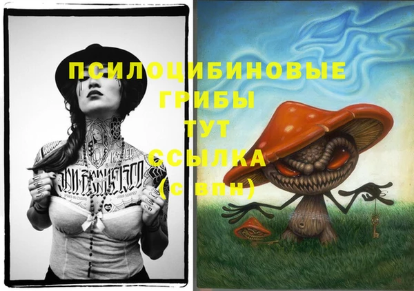 мяу мяу мука Абинск