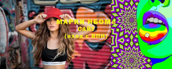 шишки Аркадак