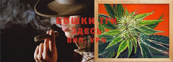 шишки Аркадак