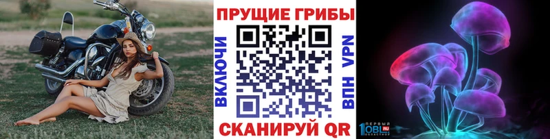 Галлюциногенные грибы Cubensis  Королёв 